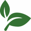 Leaf Leaf
