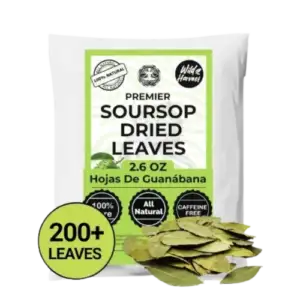 Akshit dried soursop leaves herbal tea available online The Only Earth High Point NC