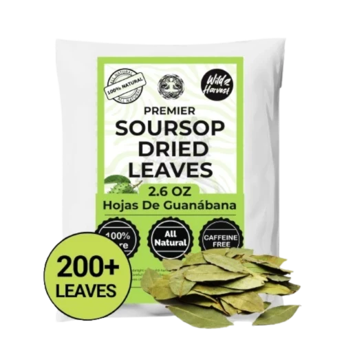 Akshit dried soursop leaves herbal tea available online The Only Earth High Point NC